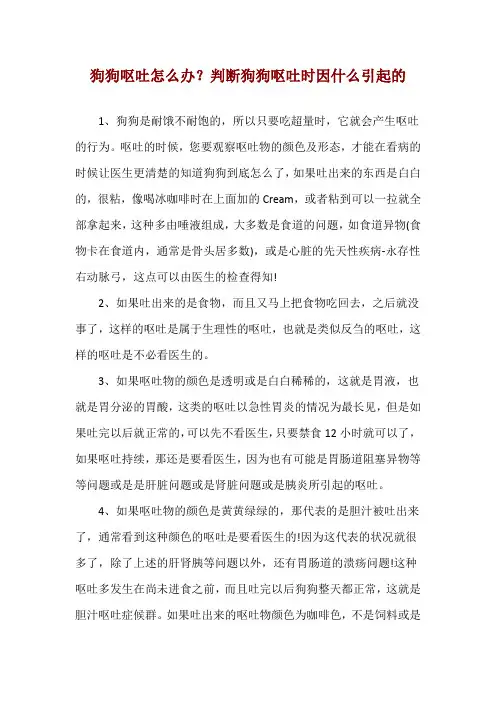 狗狗呕吐怎么办？判断狗狗呕吐时因什么引起的