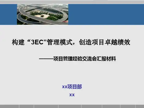 [PPT]项目经验交流材料_ppt