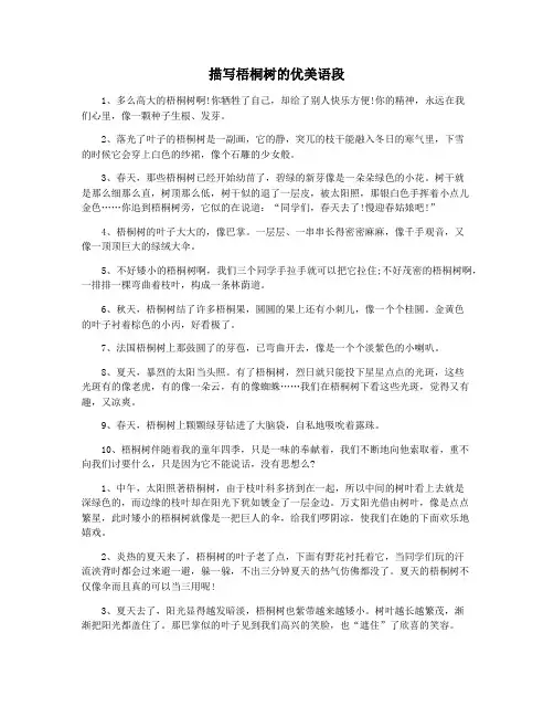 描写梧桐树的优美语段
