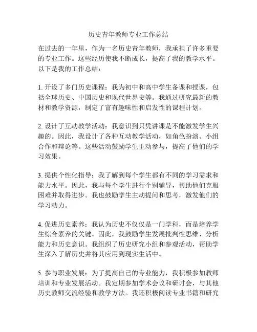 历史青年教师专业工作总结