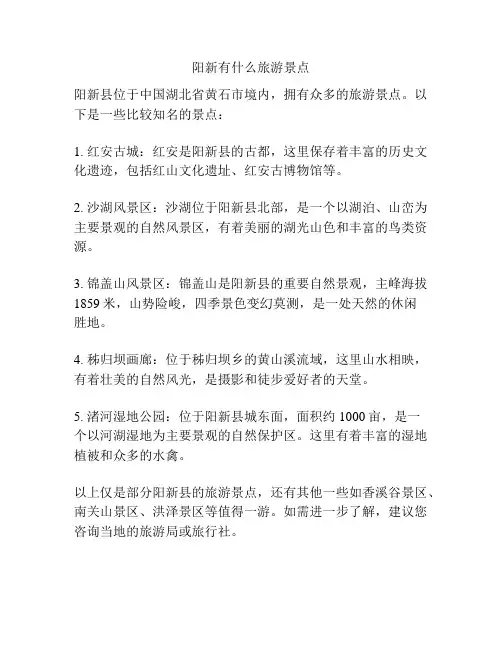阳新有什么旅游景点