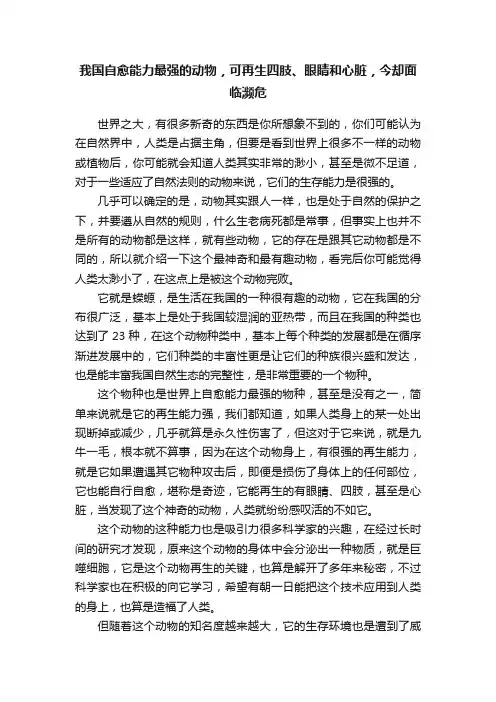 我国自愈能力最强的动物，可再生四肢、眼睛和心脏，今却面临濒危