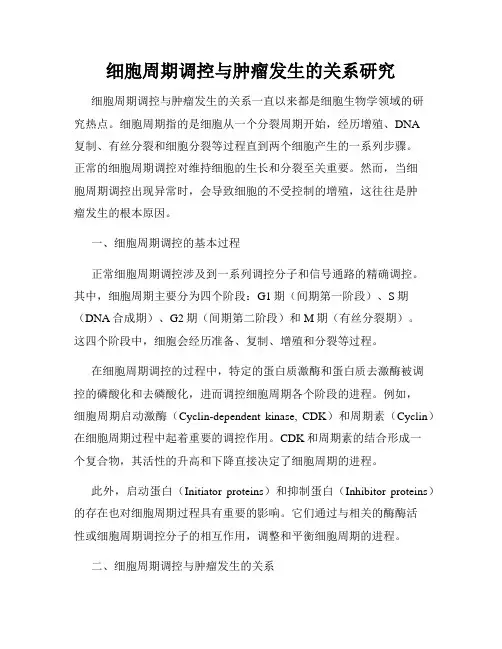 细胞周期调控与肿瘤发生的关系研究