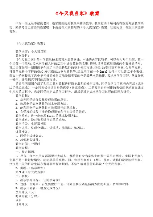 《今天我当家》教案