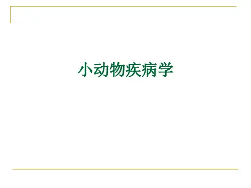 小动物疾病学