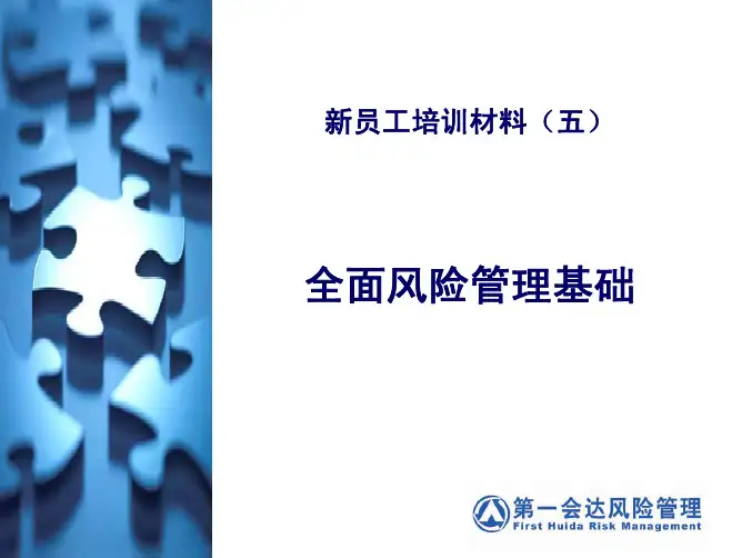 全面风险管理基础