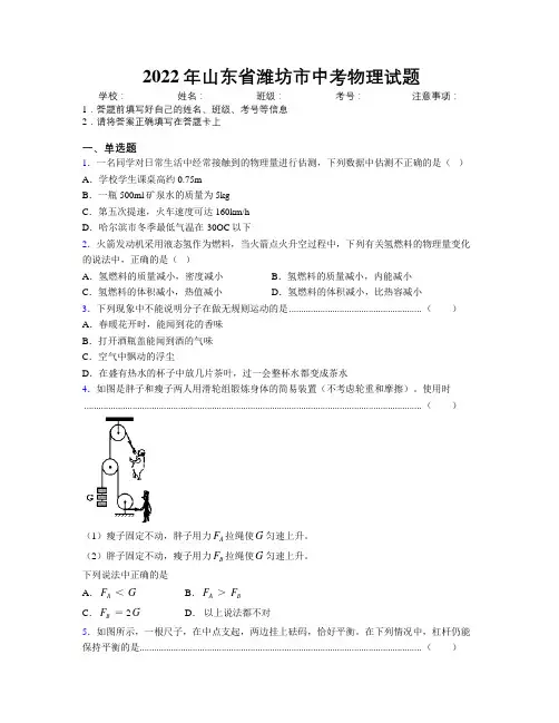 2022年山东省潍坊市中考物理试题及解析