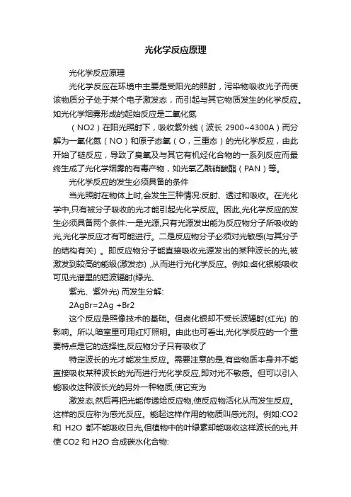 光化学反应原理