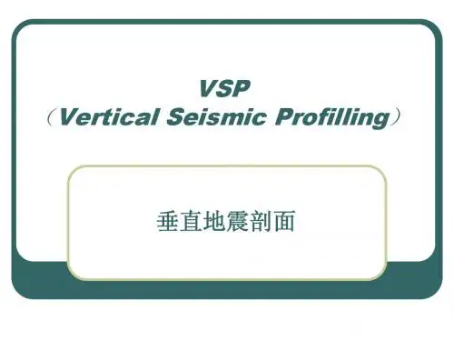 垂直地震剖面VSP