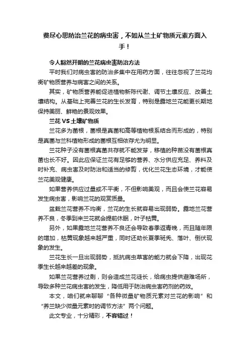 费尽心思防治兰花的病虫害，不如从兰土矿物质元素方面入手！