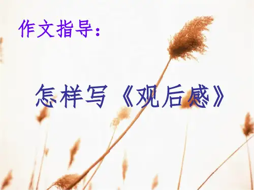 如何指导小学生写观后感PPT课件