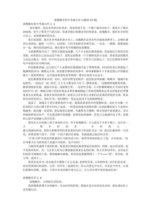 放慢脚步的中考满分作文(精彩17篇)