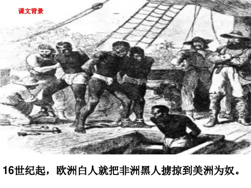 世纪起欧洲白人就把非洲黑人掳掠到美洲为奴