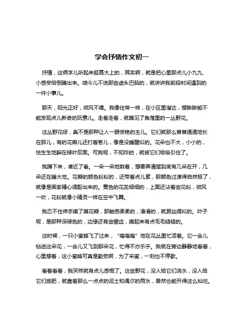 学会抒情作文初一