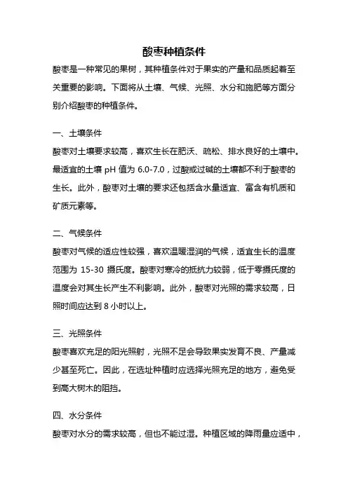 酸枣种植条件