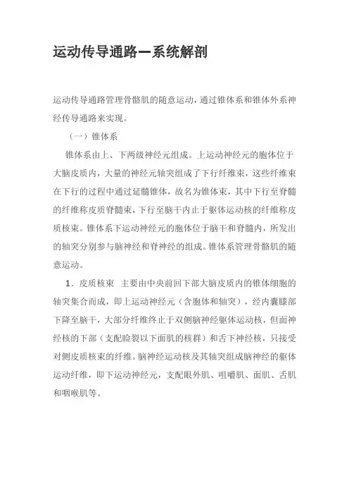 运动感觉传导路(图文解说)