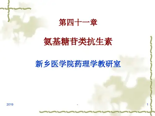 第章氨基糖苷类抗生素ppt课件