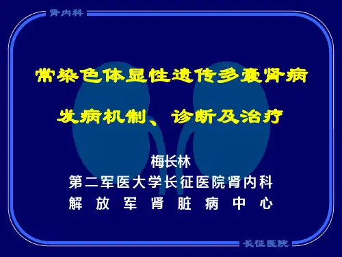常染色体显性遗传多囊肾病发病机制、诊断及治疗