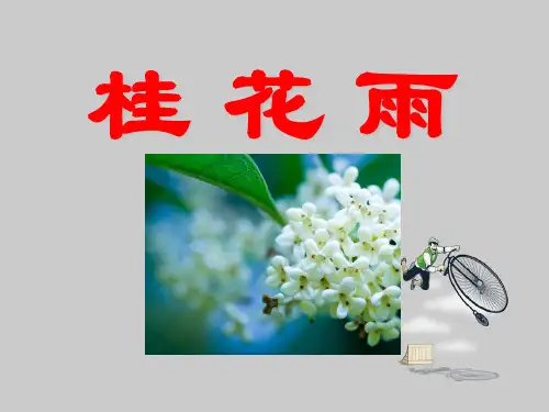 人教版小学语文五年级上册《桂花雨》PPT课件
