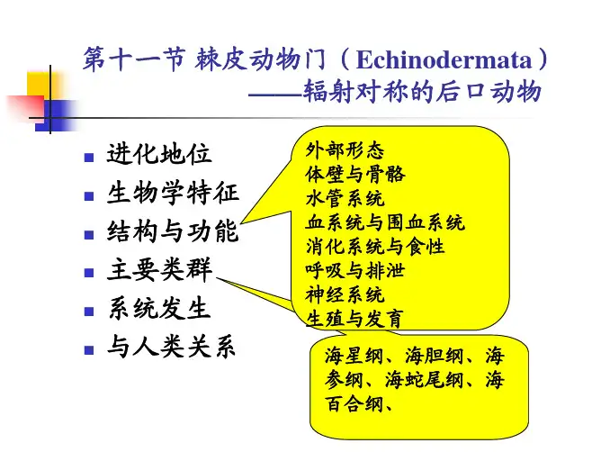 动物生物学：12棘皮动物门-辐射对称的后口动物