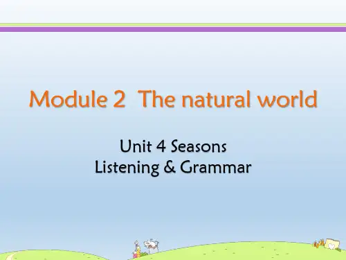 沪教牛津版七年级英语上册课件Unit 4 Listening Grammar