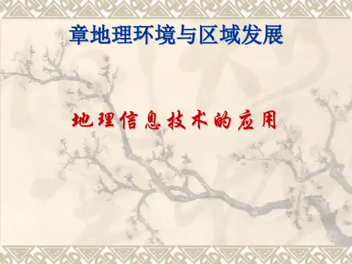 地理信息技术的应用PPT课件6