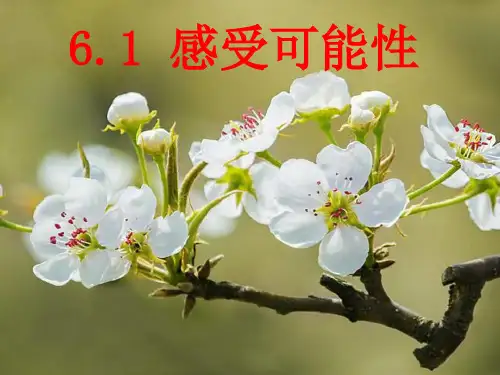 北师大版七年级数学下册第6章:第1节感受可能性(2)课件(共19张PPT)