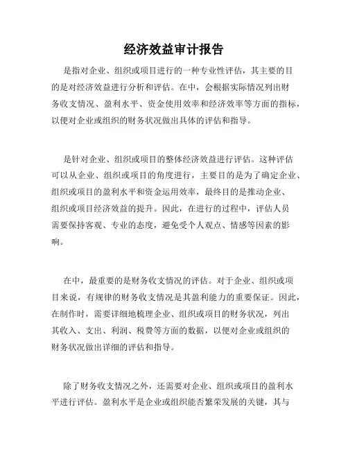 经济效益审计报告