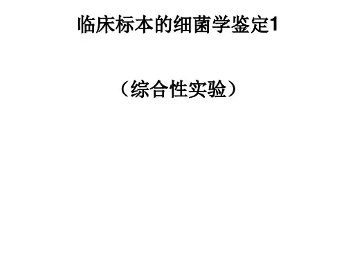 临床标本细菌学
