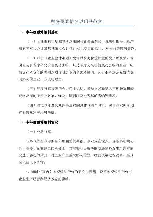 财务预算情况说明书范文