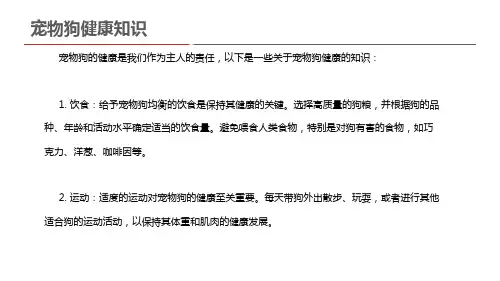 宠物狗健康知识