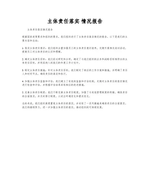 主体责任落实 情况报告