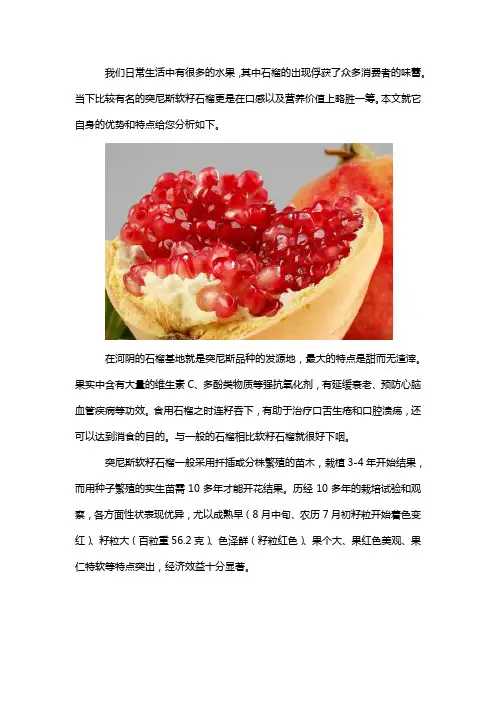 突尼斯软籽石榴功效及作用