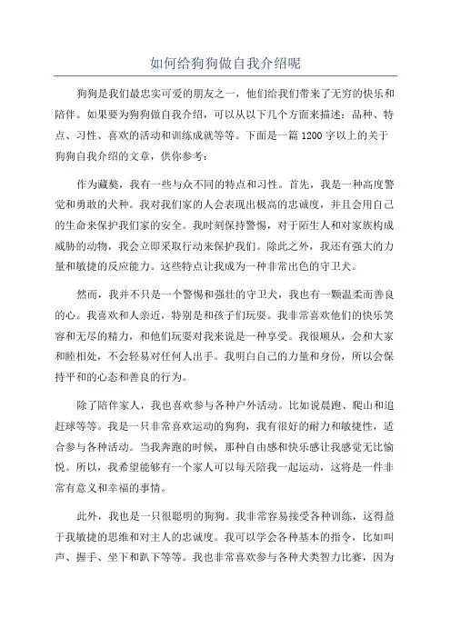 如何给狗狗做自我介绍呢