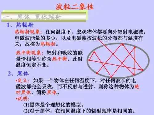 波粒二象性1