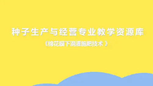 棉花膜下滴灌施肥技术(共10张PPT)