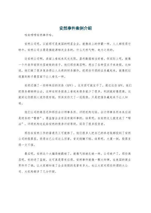 安然事件案例介绍