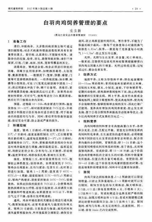白羽肉鸡饲养管理的要点