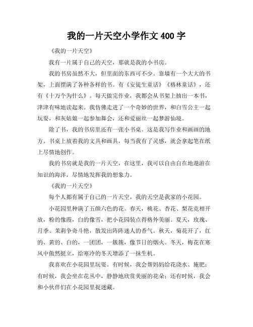 我的一片天空小学作文400字