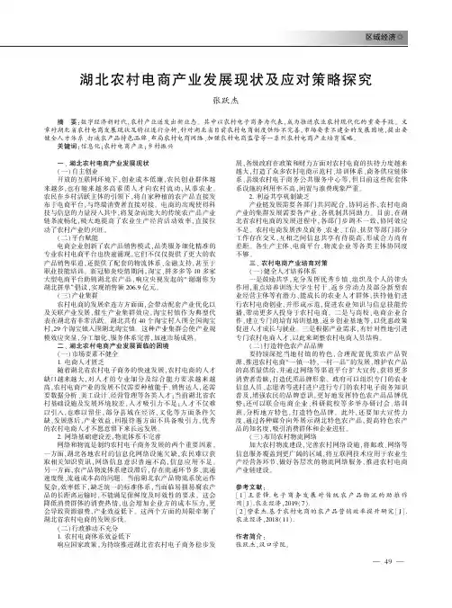 湖北农村电商产业发展现状及应对策略探究