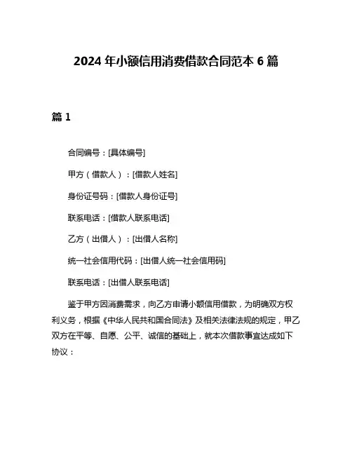 2024年小额信用消费借款合同范本6篇