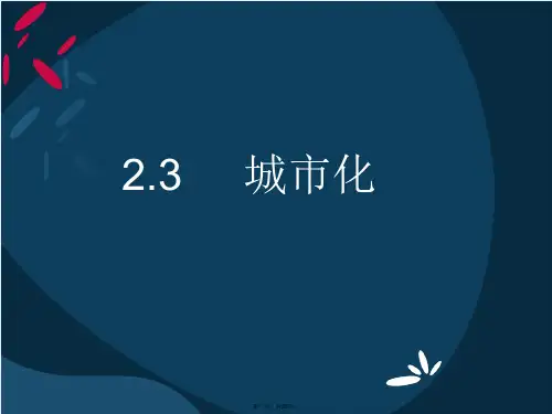 人教版高中地理必修二第二章第3节《城市化》优质课件(共19张)