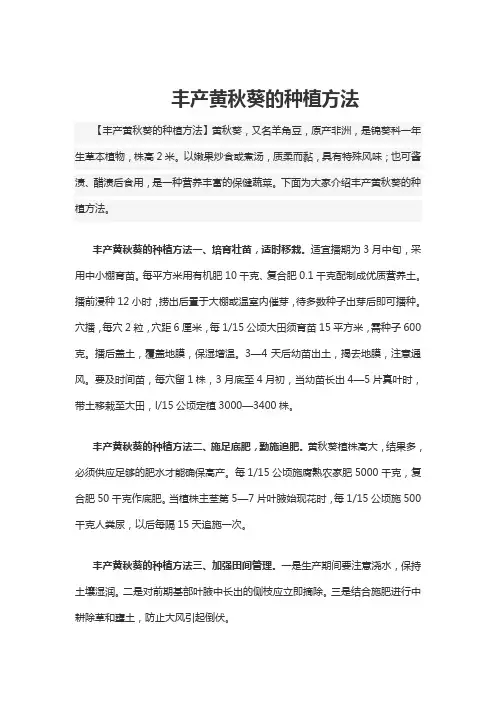 丰产黄秋葵的种植方法