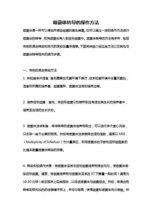 噬菌体转导的操作方法