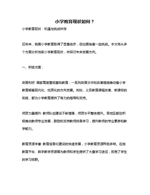小学教育现状如何？