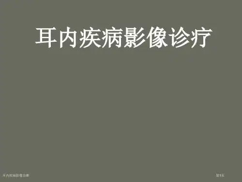 耳内疾病影像诊断