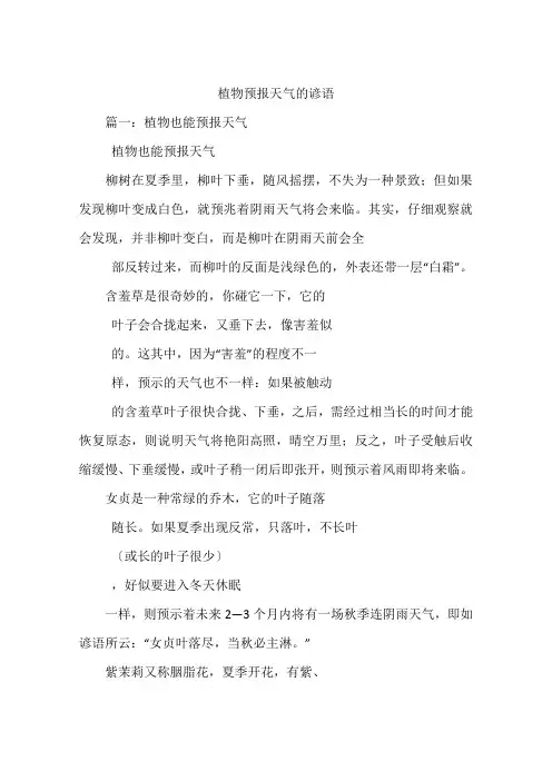 植物预报天气的谚语