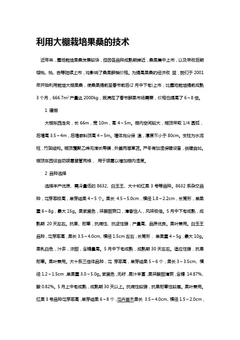 利用大棚栽培果桑的技术