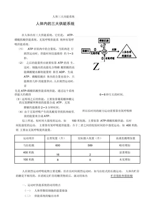 人体三大功能系统