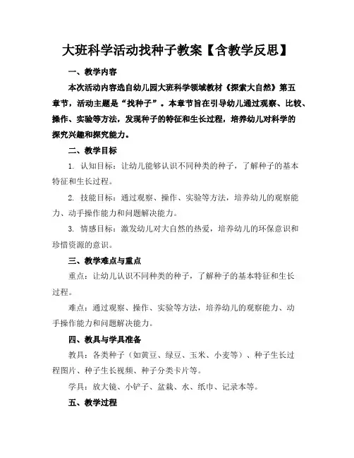 大班科学活动找种子教案【含教学反思】